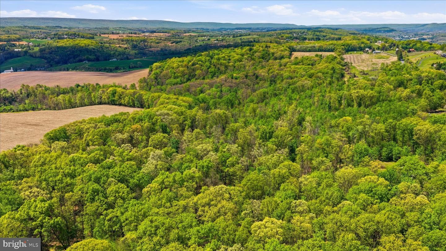 954 Schuylkill Mountain Road photo 44