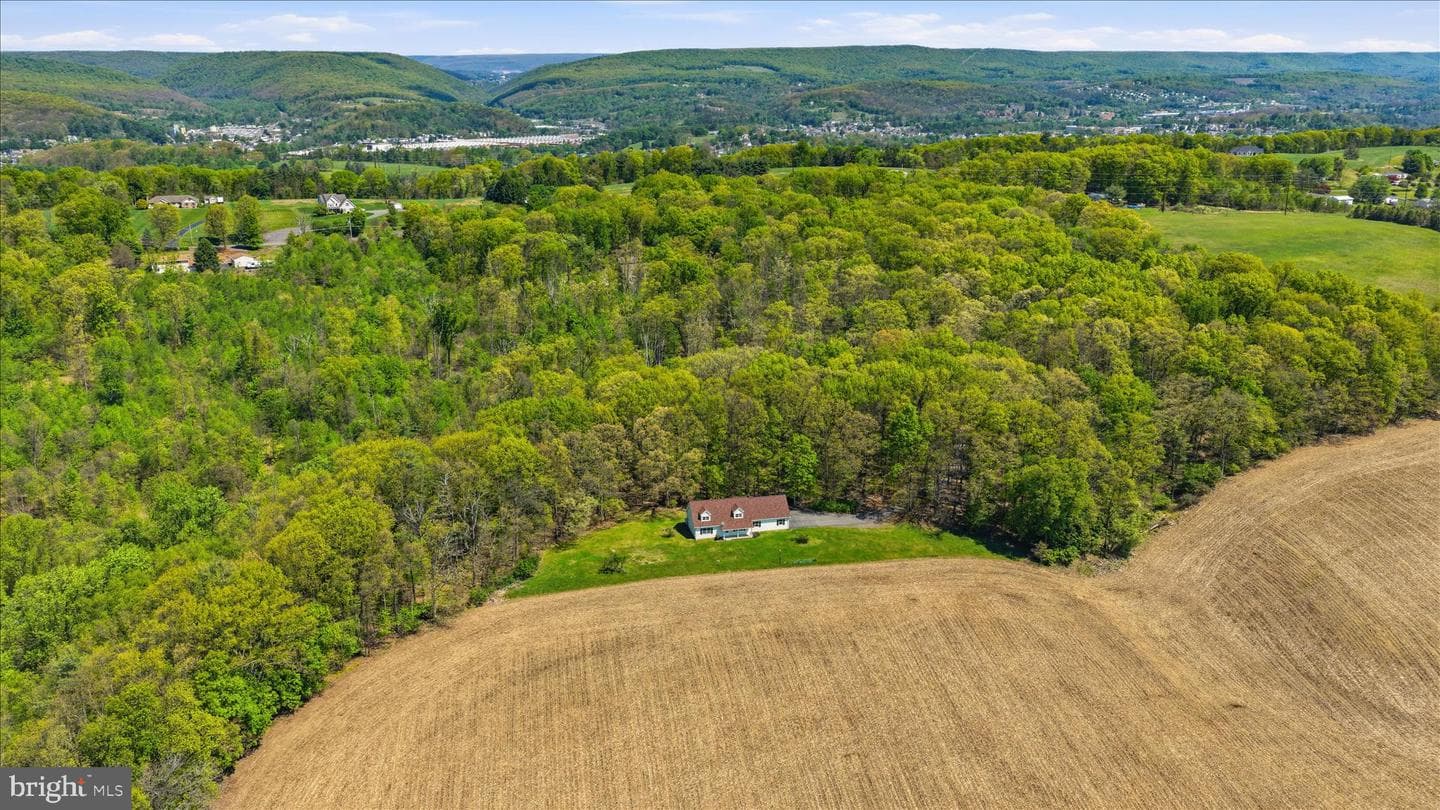 954 Schuylkill Mountain Road photo 6