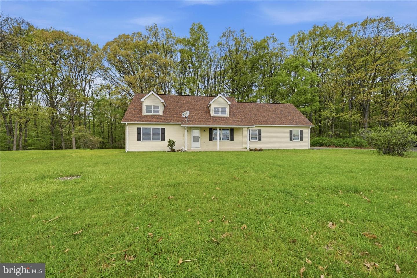 954 Schuylkill Mountain Road photo 9