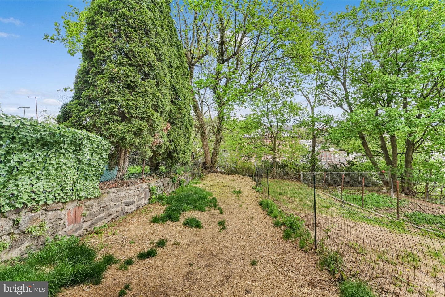 509 E Arch Street photo 28