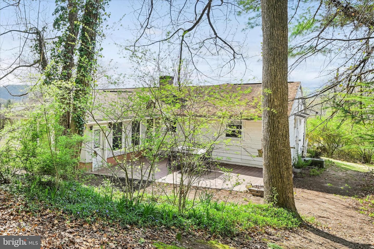 515 Pine Hill Drive photo 27