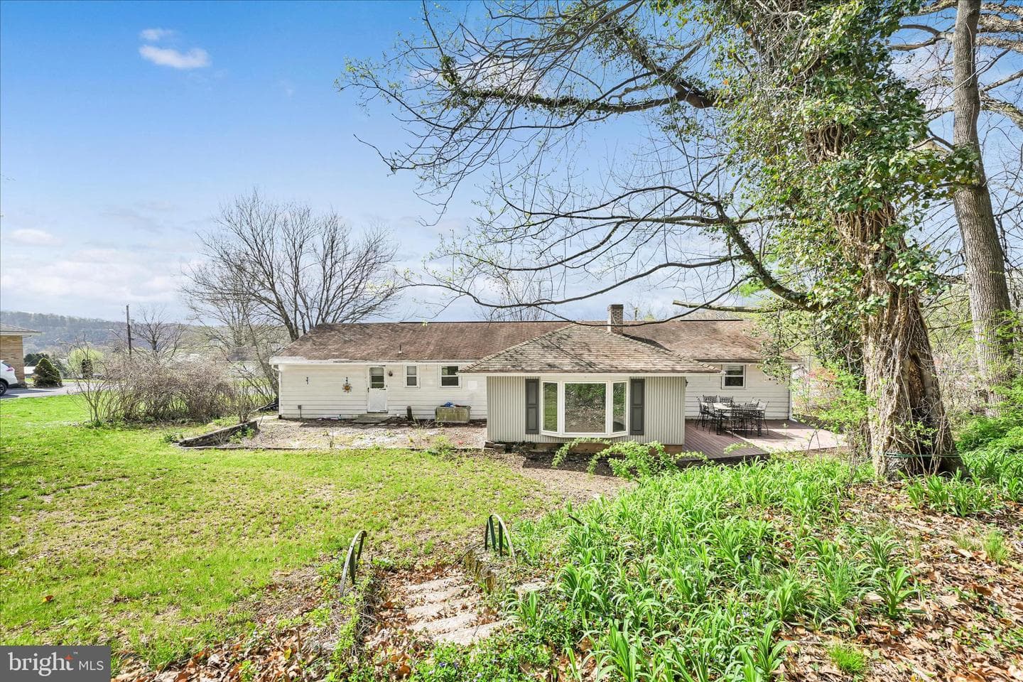515 Pine Hill Drive photo 28