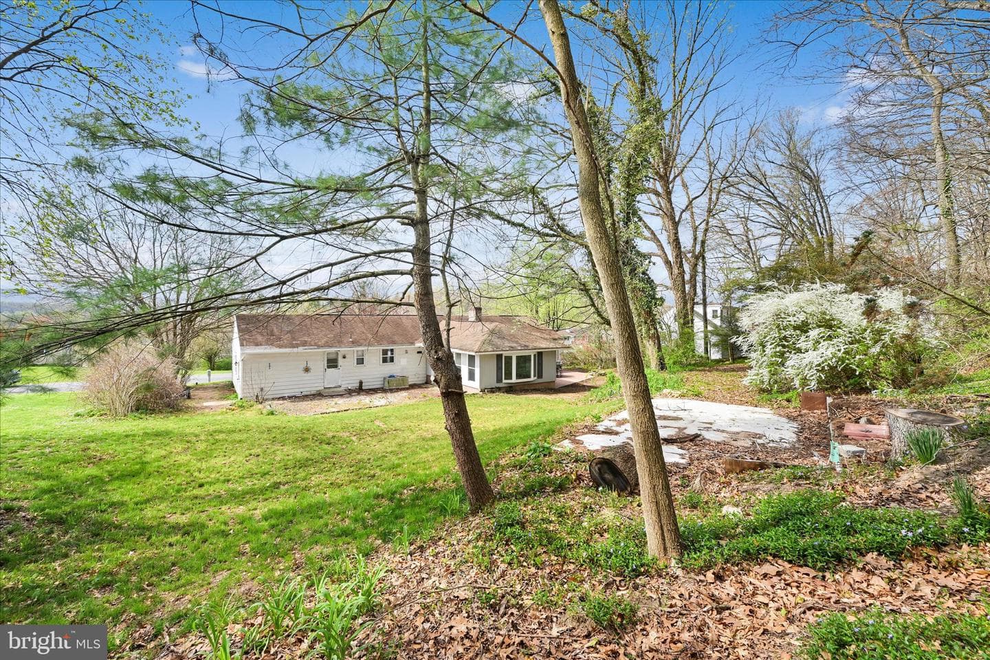 515 Pine Hill Drive photo 29