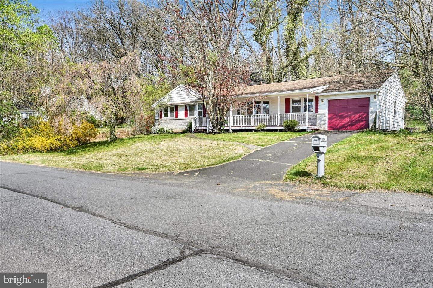 515 Pine Hill Drive photo 3