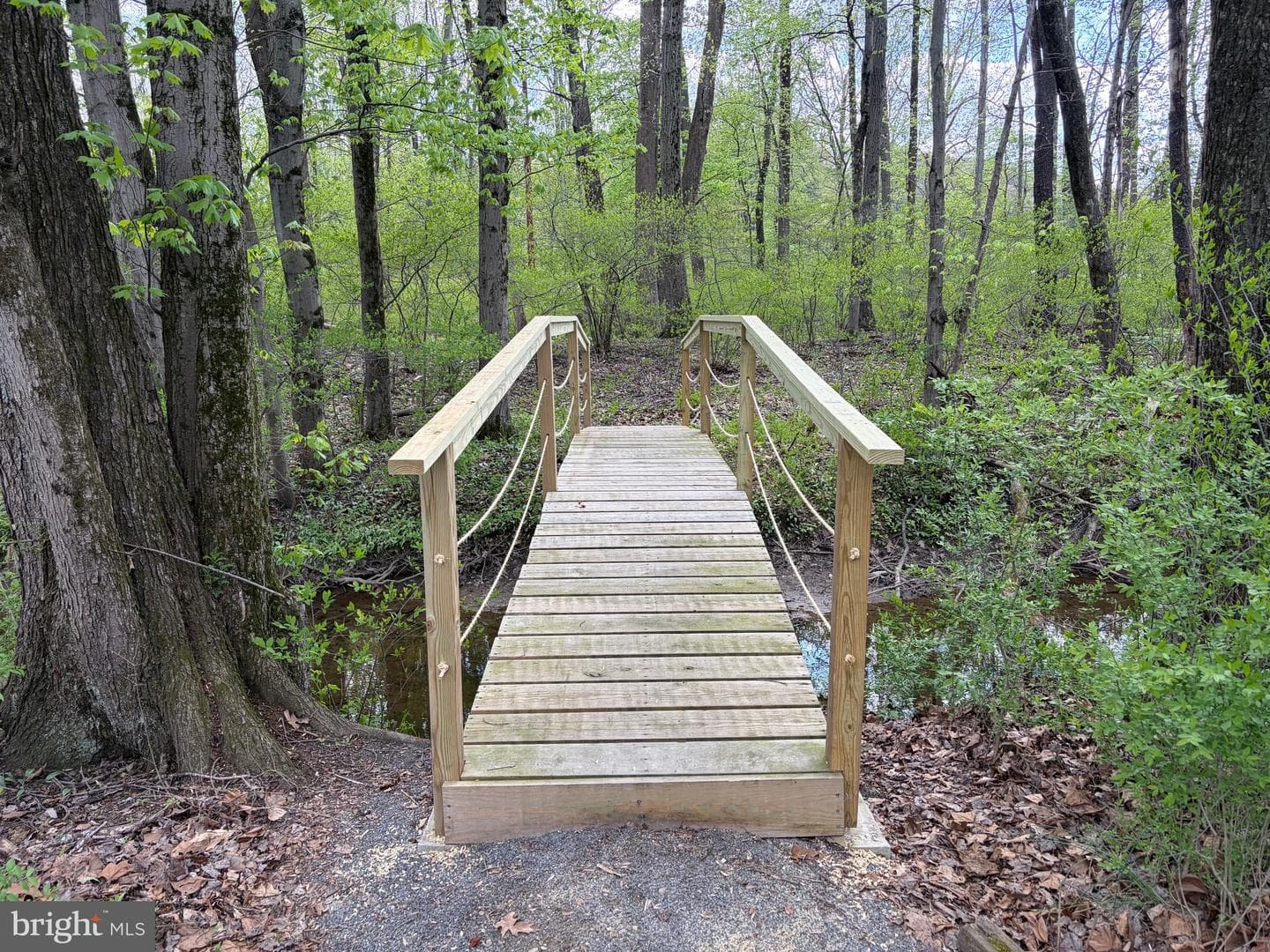 2 Lovers Lane photo 32