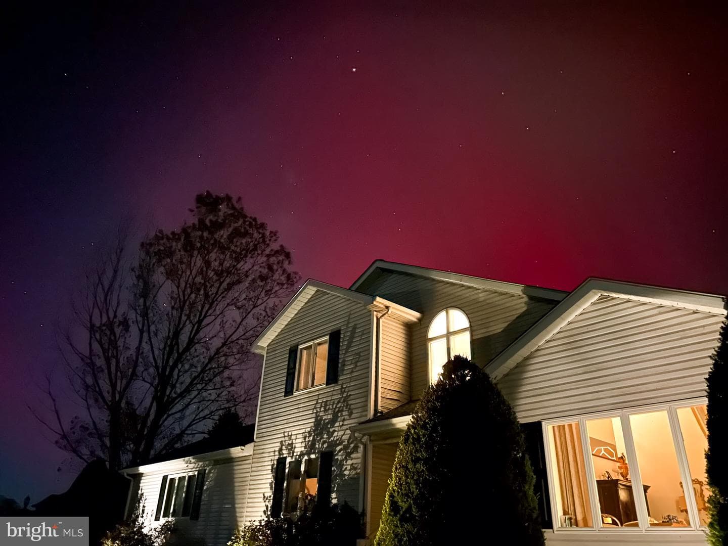 1319 Shady Lane photo 9