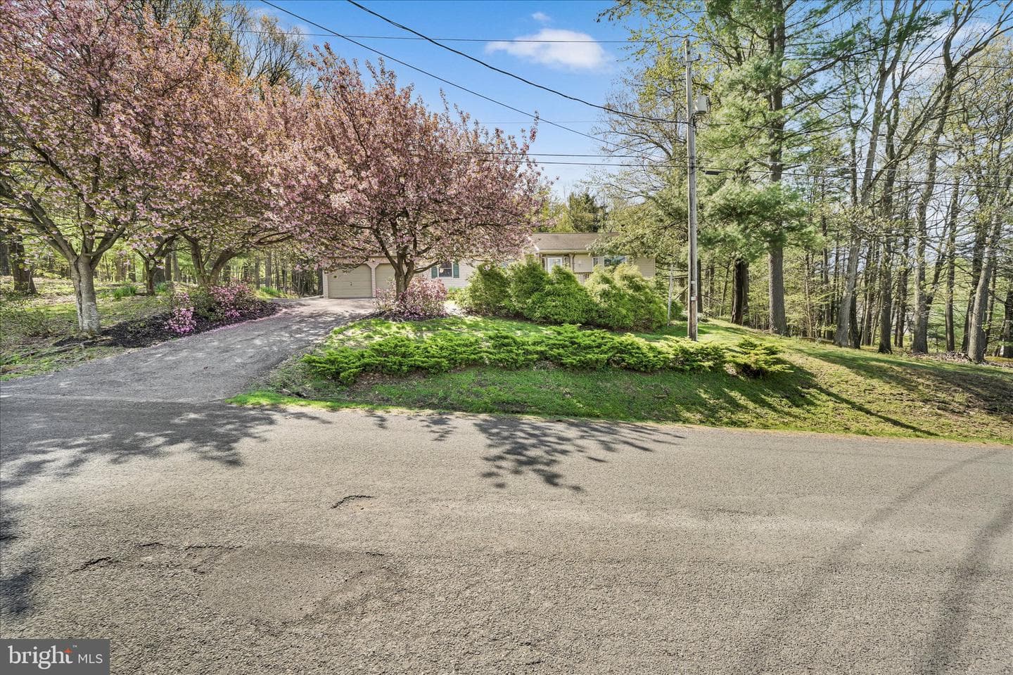 2377 Stallion Drive photo 2