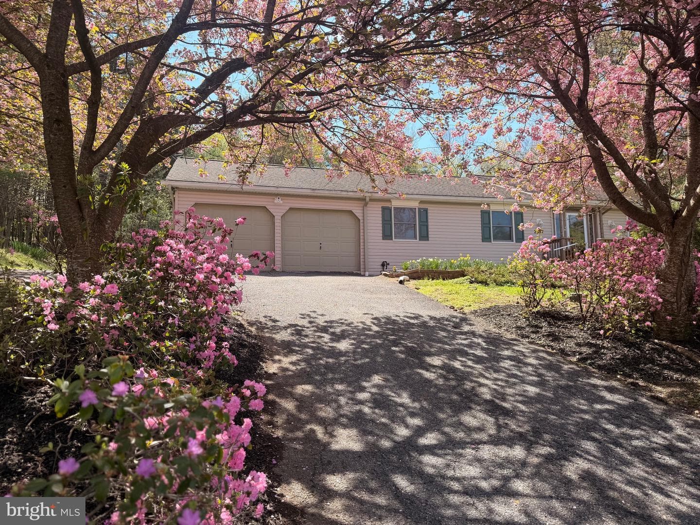2377 Stallion Drive photo 4