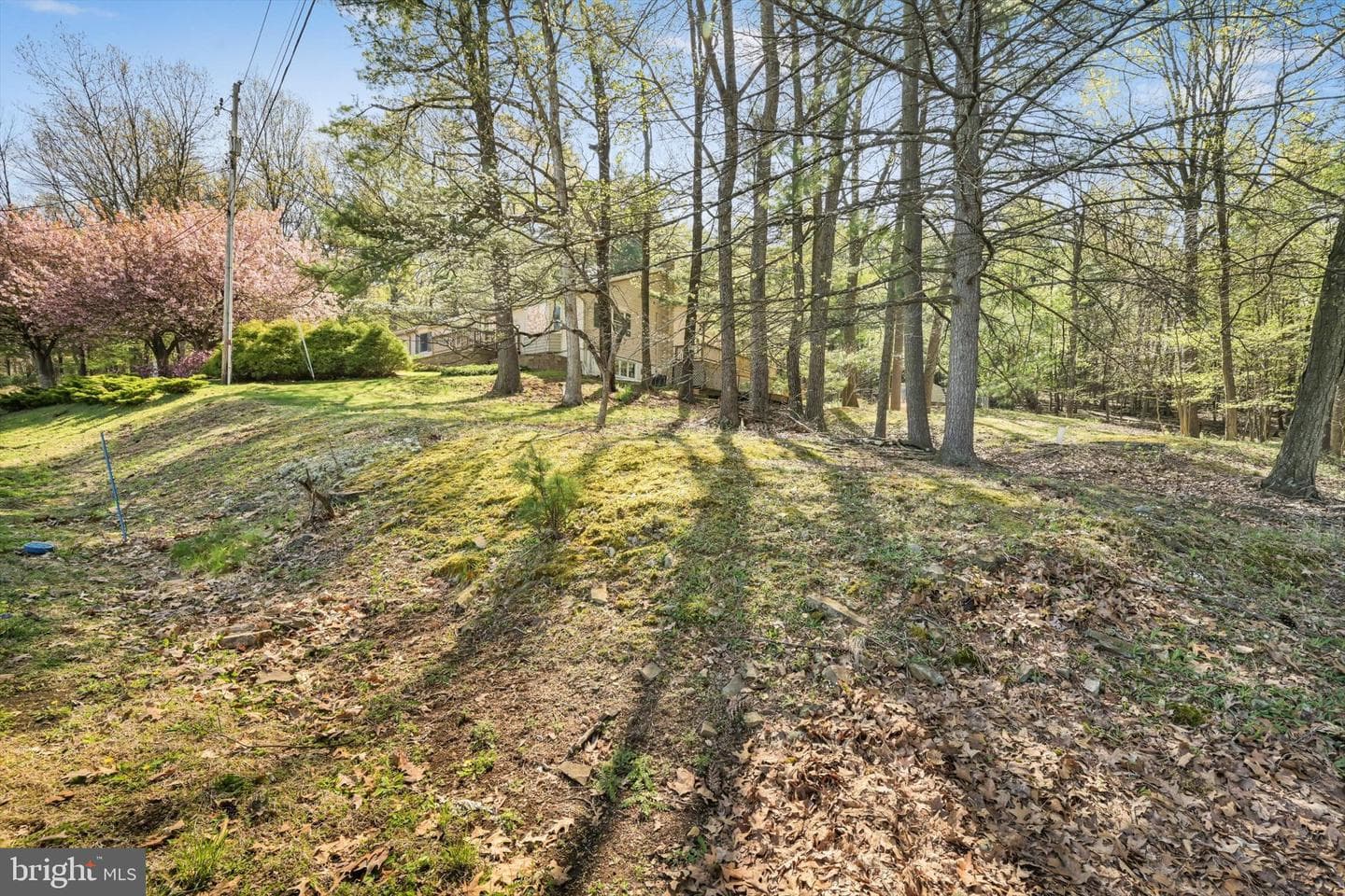 2377 Stallion Drive photo 43