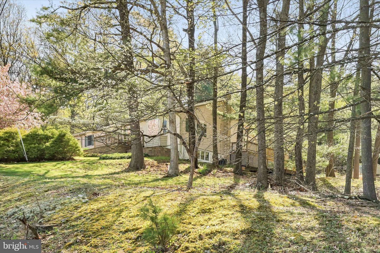 2377 Stallion Drive photo 44