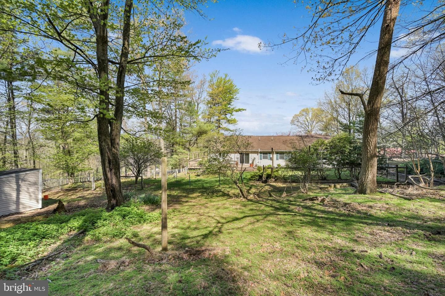 2377 Stallion Drive photo 49