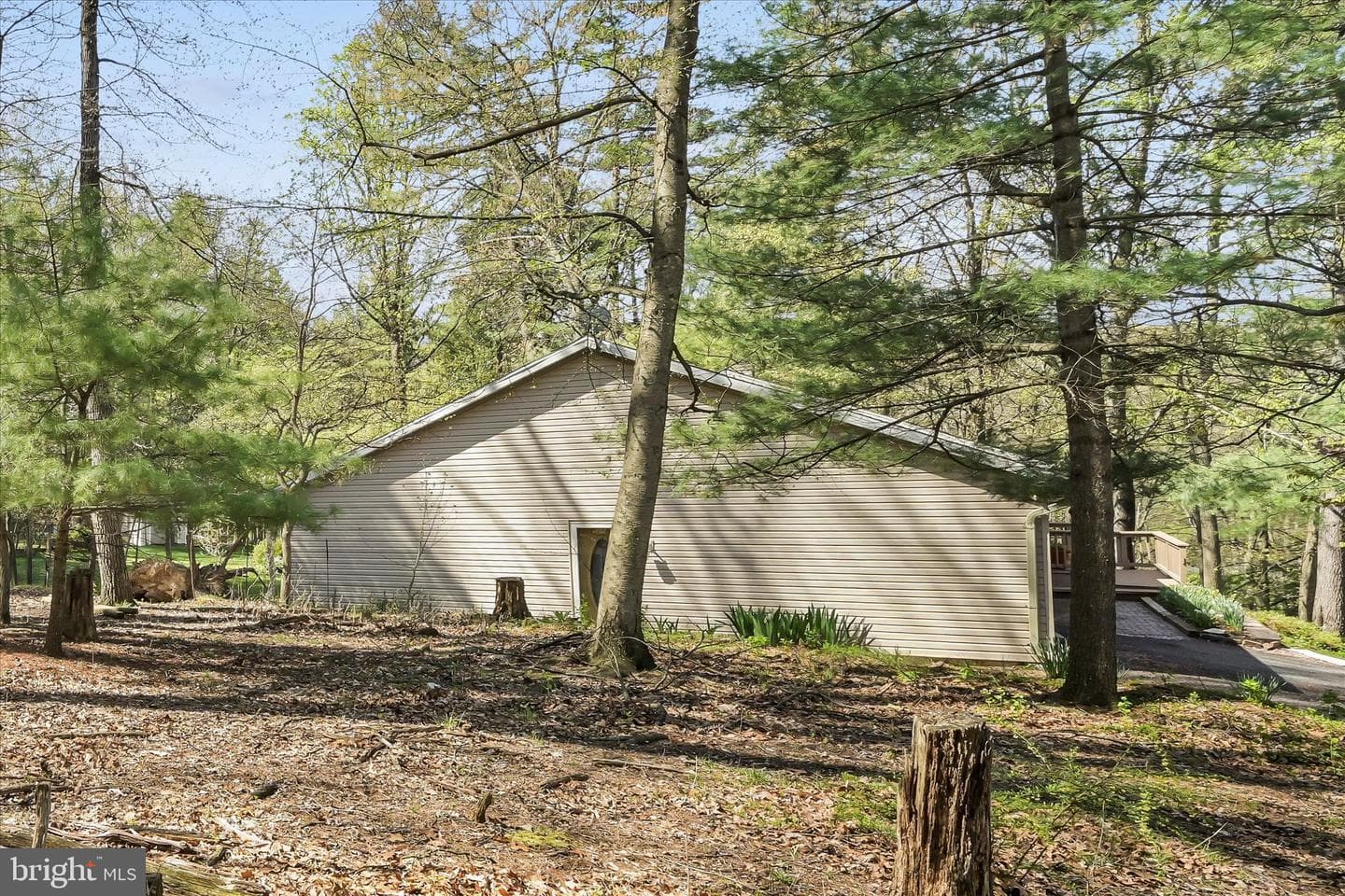 2377 Stallion Drive photo 54
