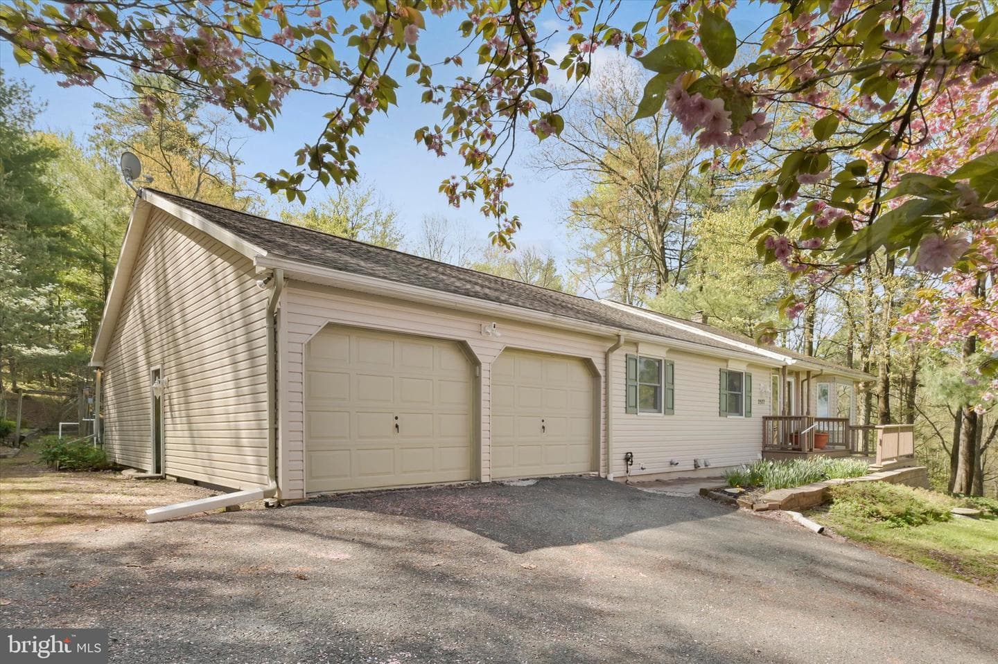 2377 Stallion Drive photo 7