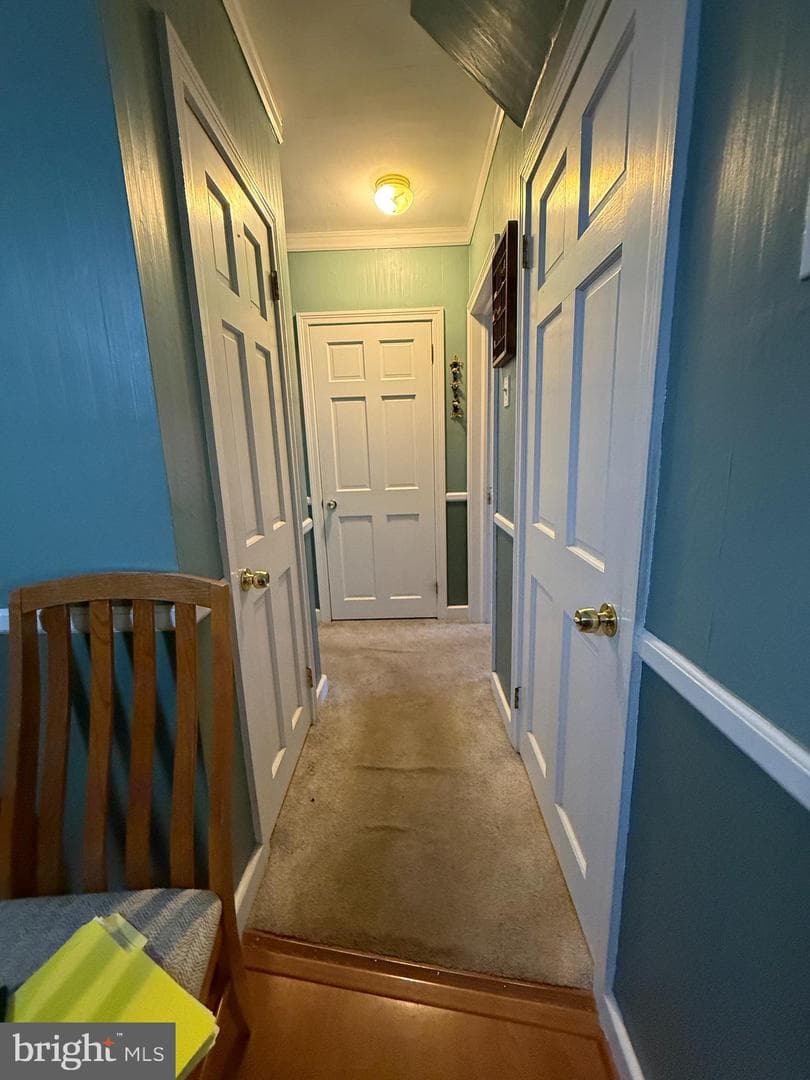 8 Meadow Avenue photo 17