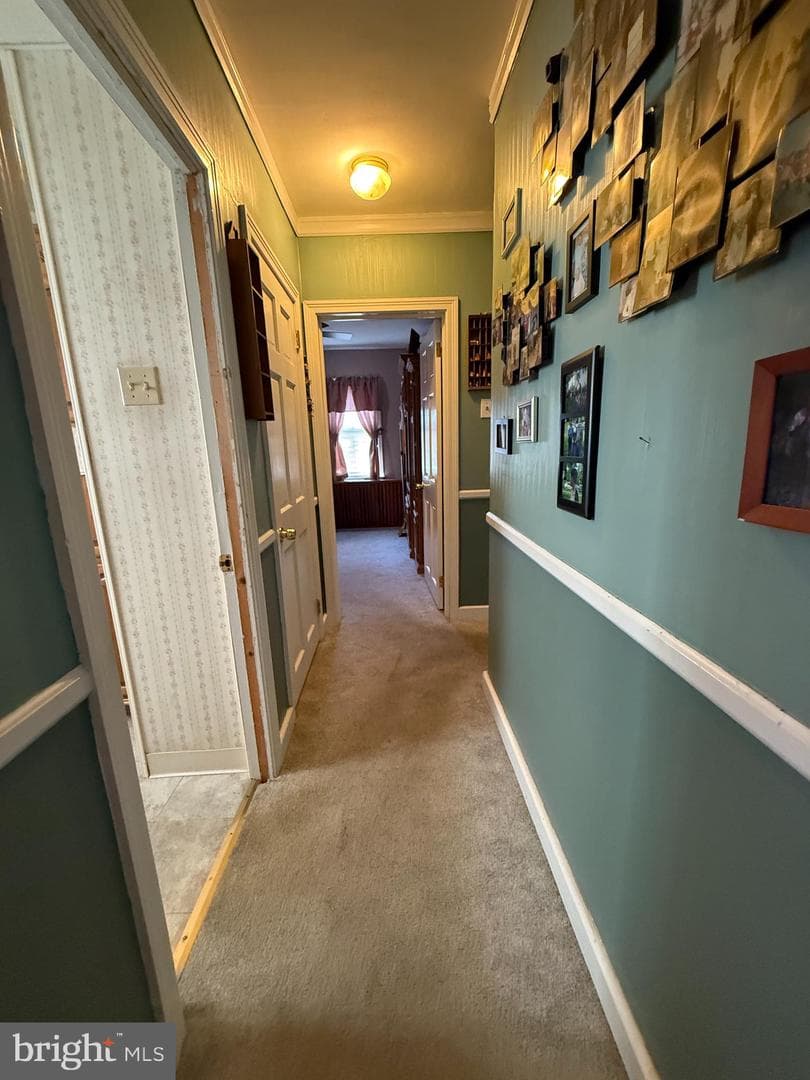 8 Meadow Avenue photo 18