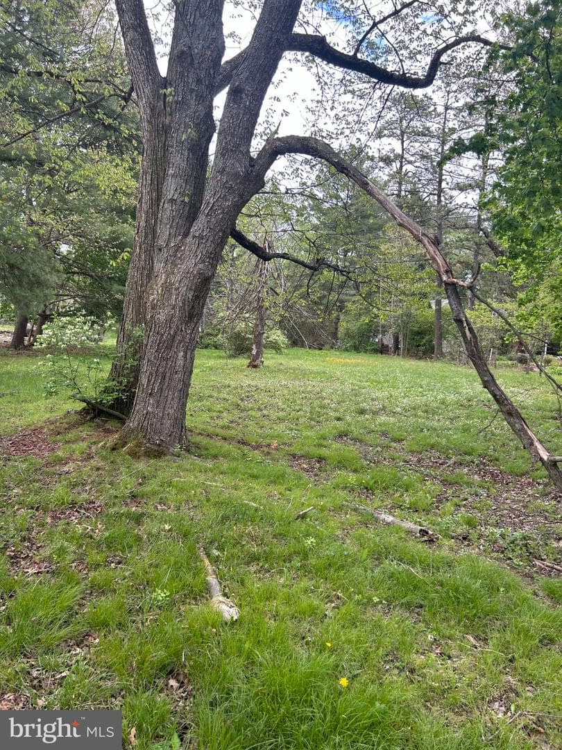 0 Laurel Road photo 6