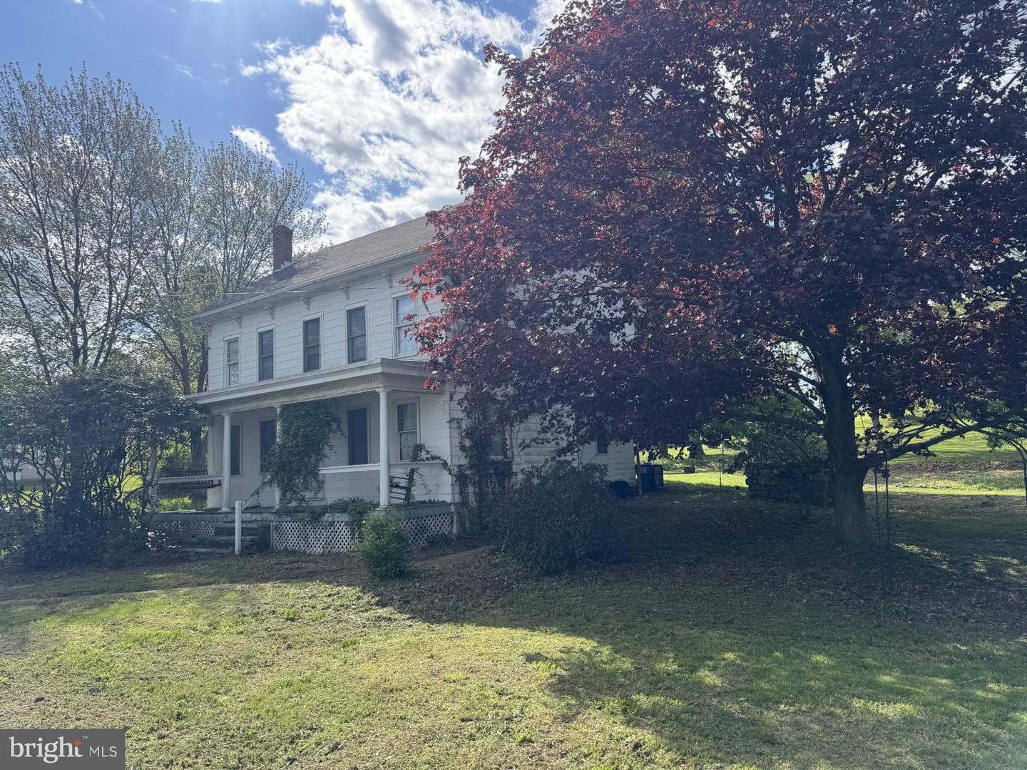 167 Llewellyn Road photo 2