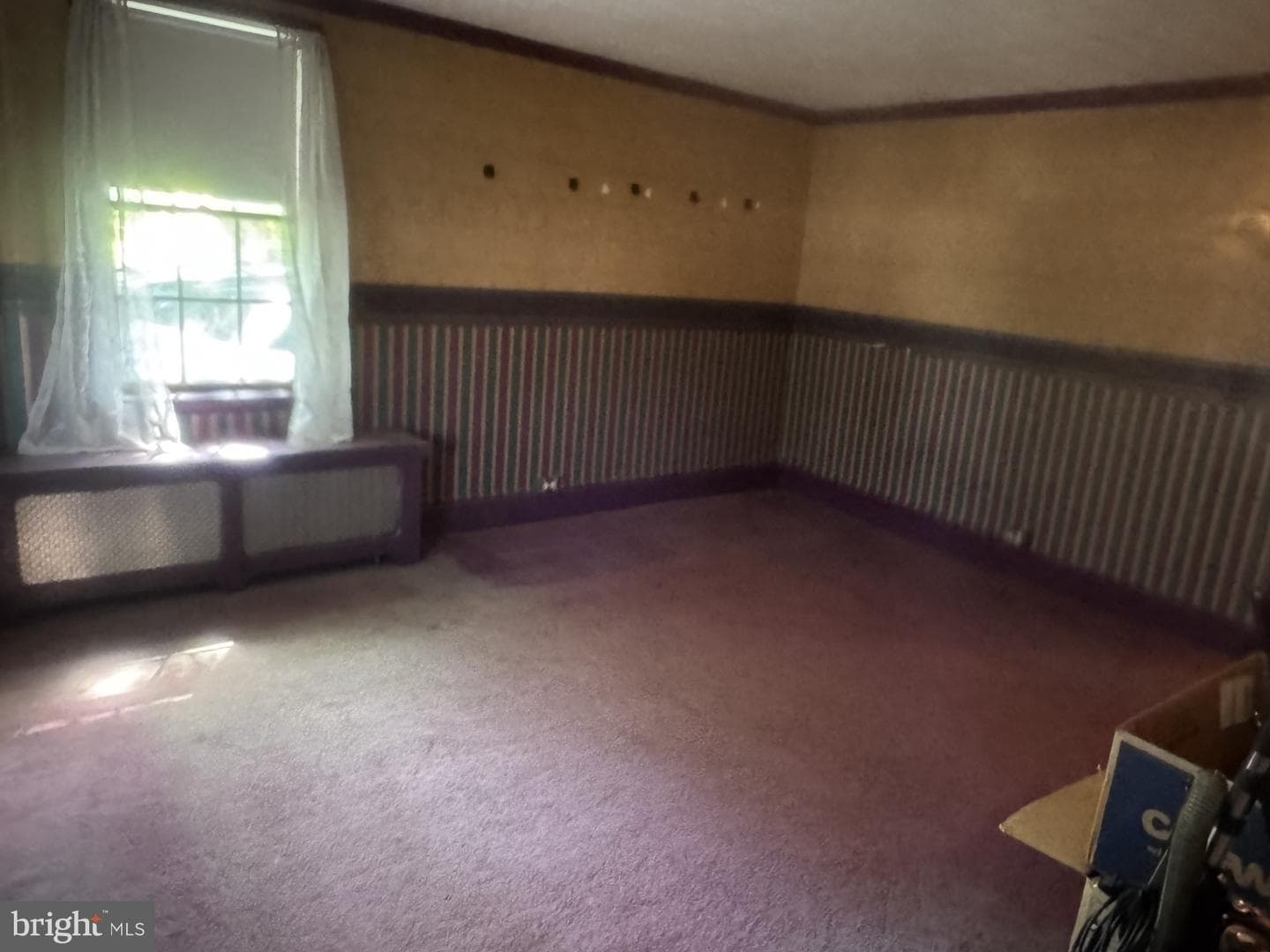 167 Llewellyn Road photo 7