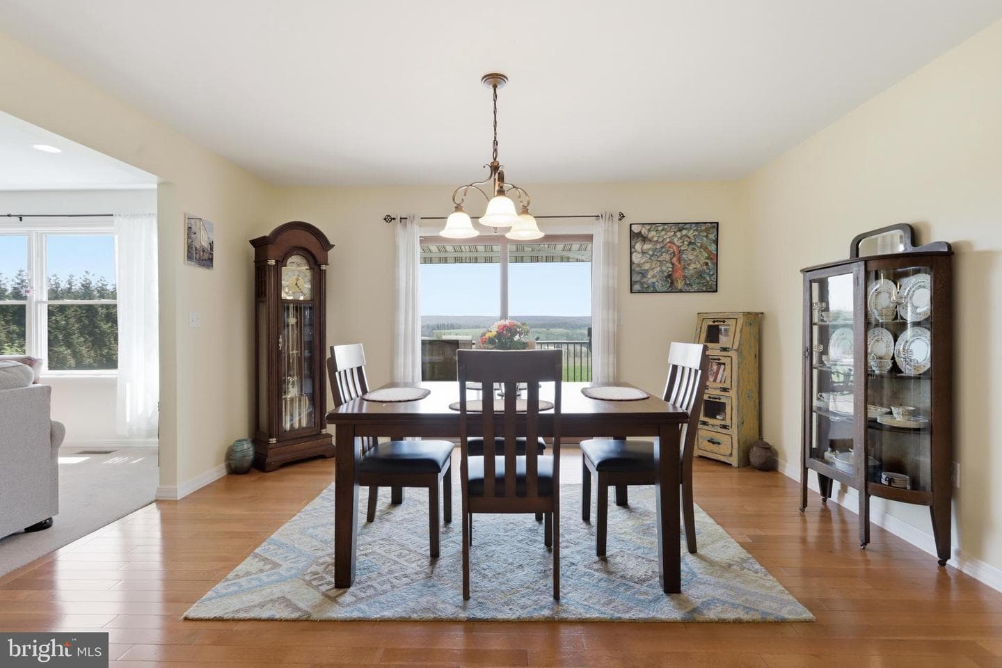 495 Rabbit Run Road photo 10