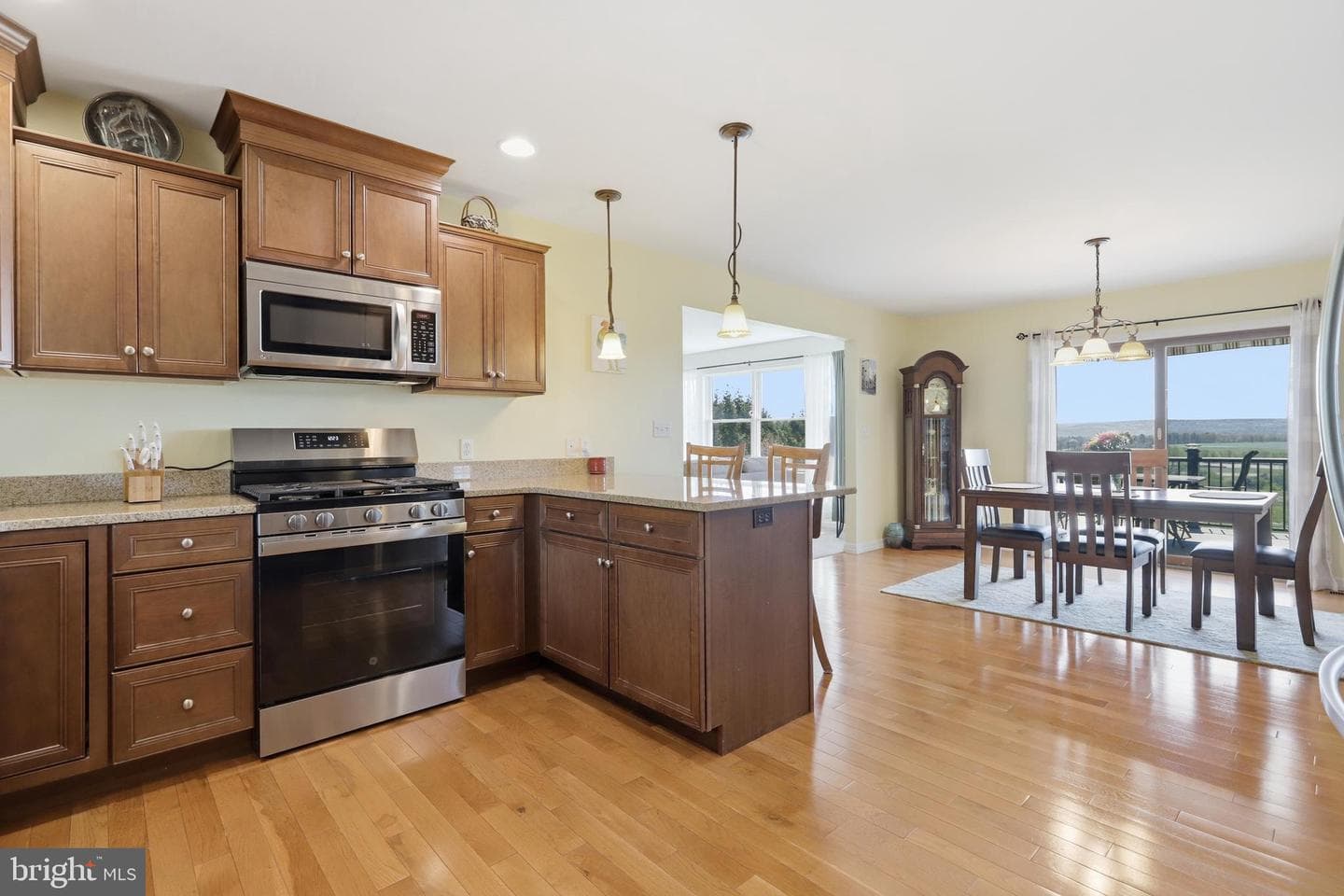 495 Rabbit Run Road photo 8