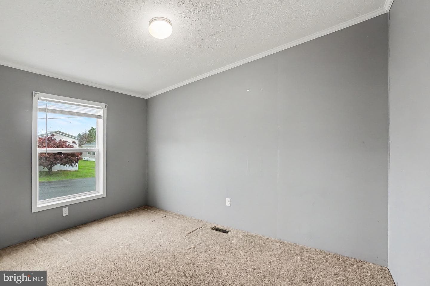 13 Frieden Manor photo 29