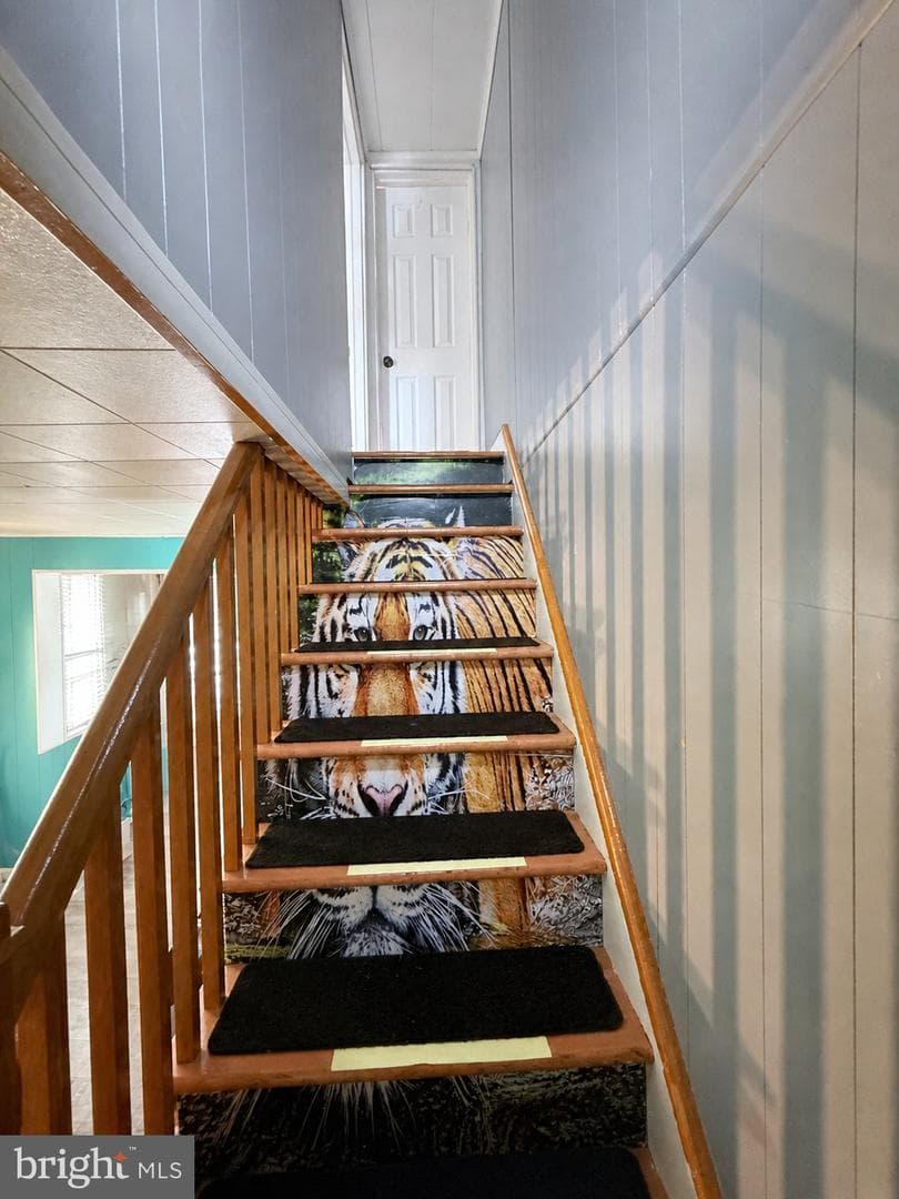 5 N Morris Street photo 11