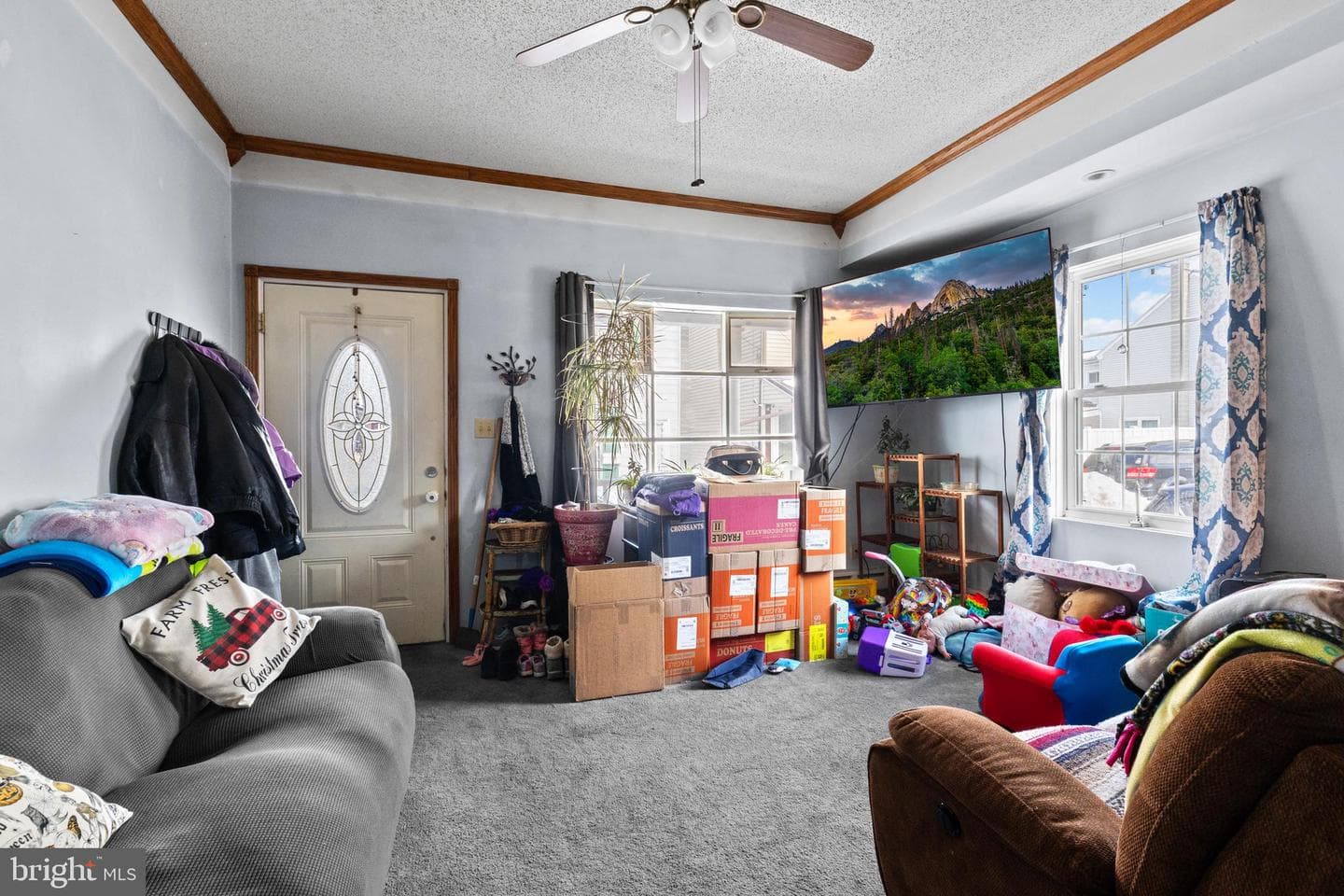 817 Grant Street photo 14