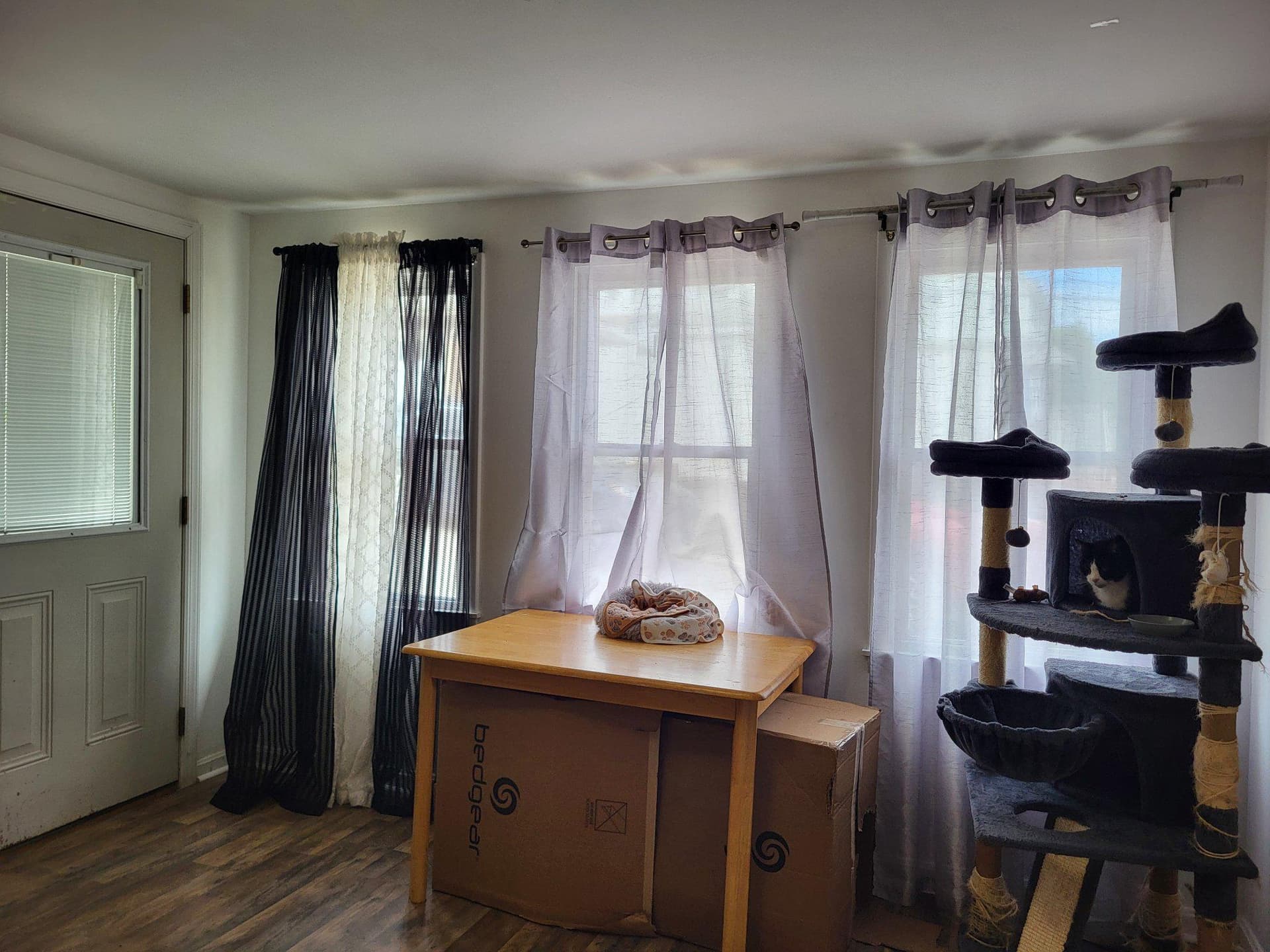 250 Van Gelder Street photo 6