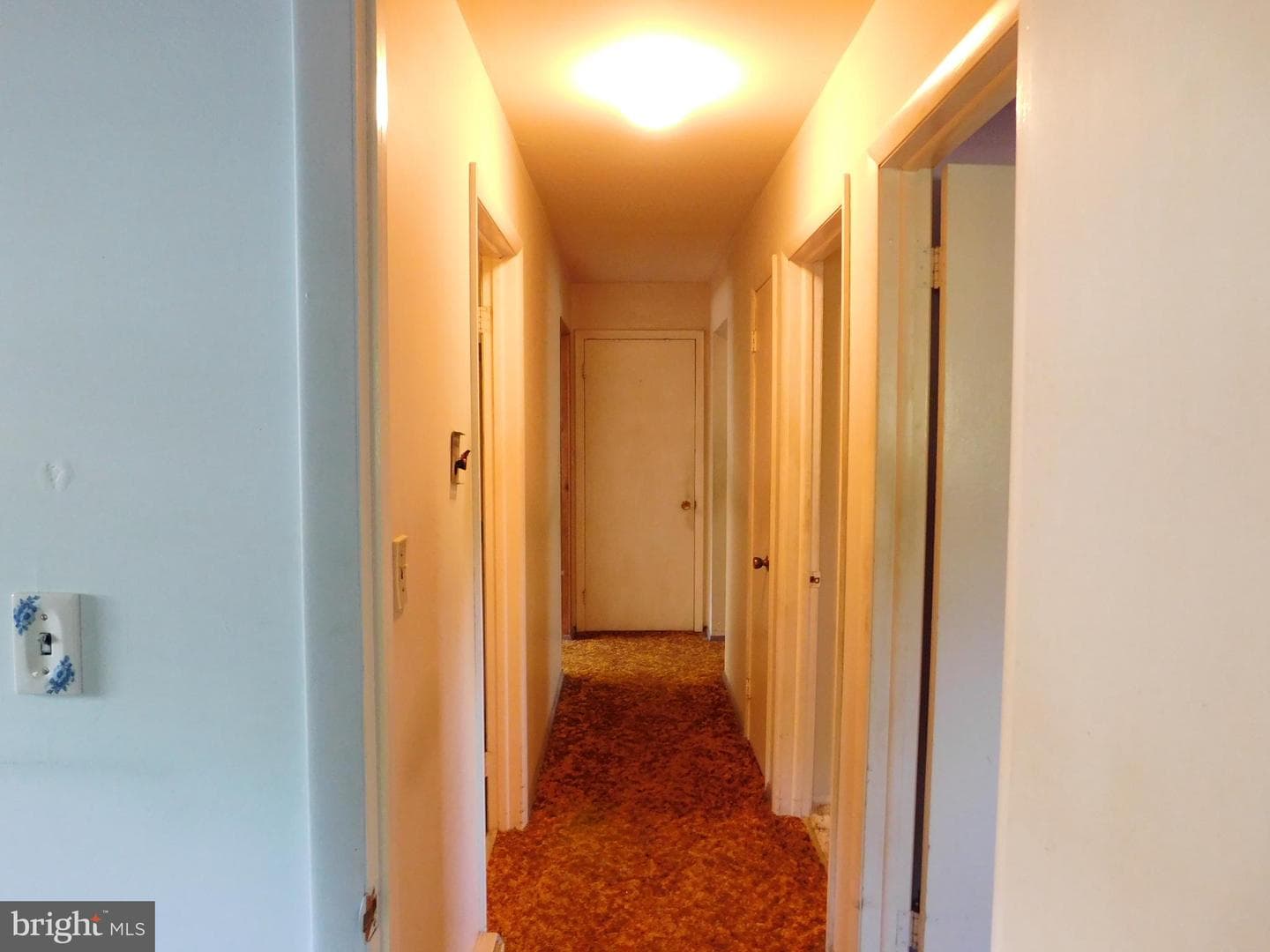 114 Cumberland Avenue photo 14
