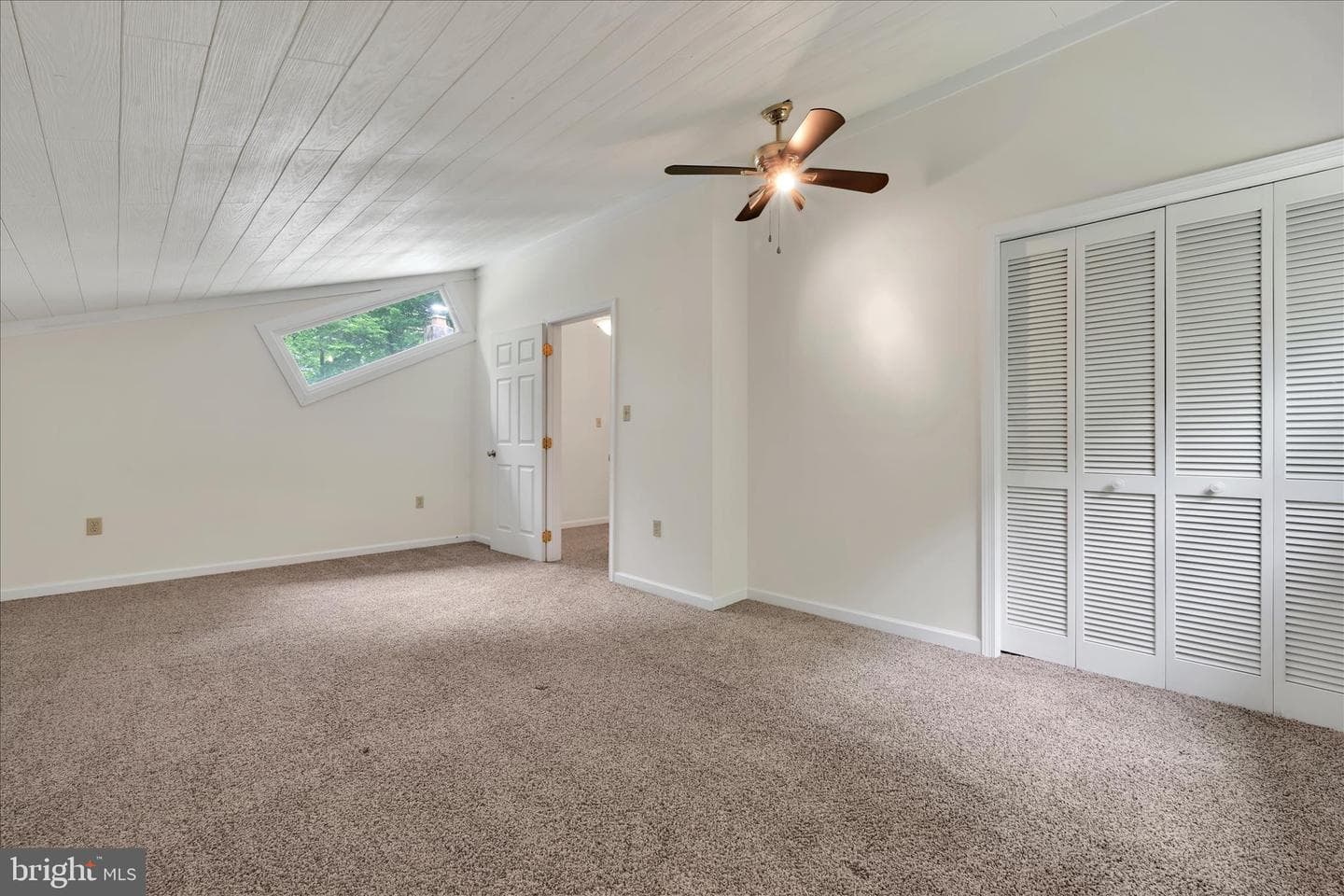 2310 Eagle Cove photo 16