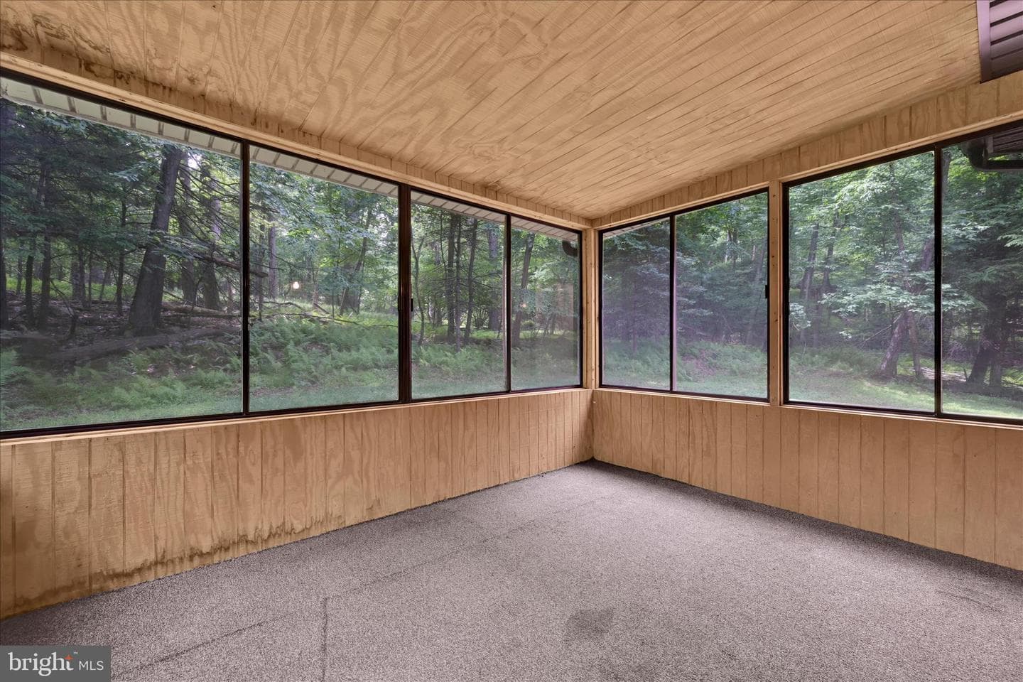 2310 Eagle Cove photo 24