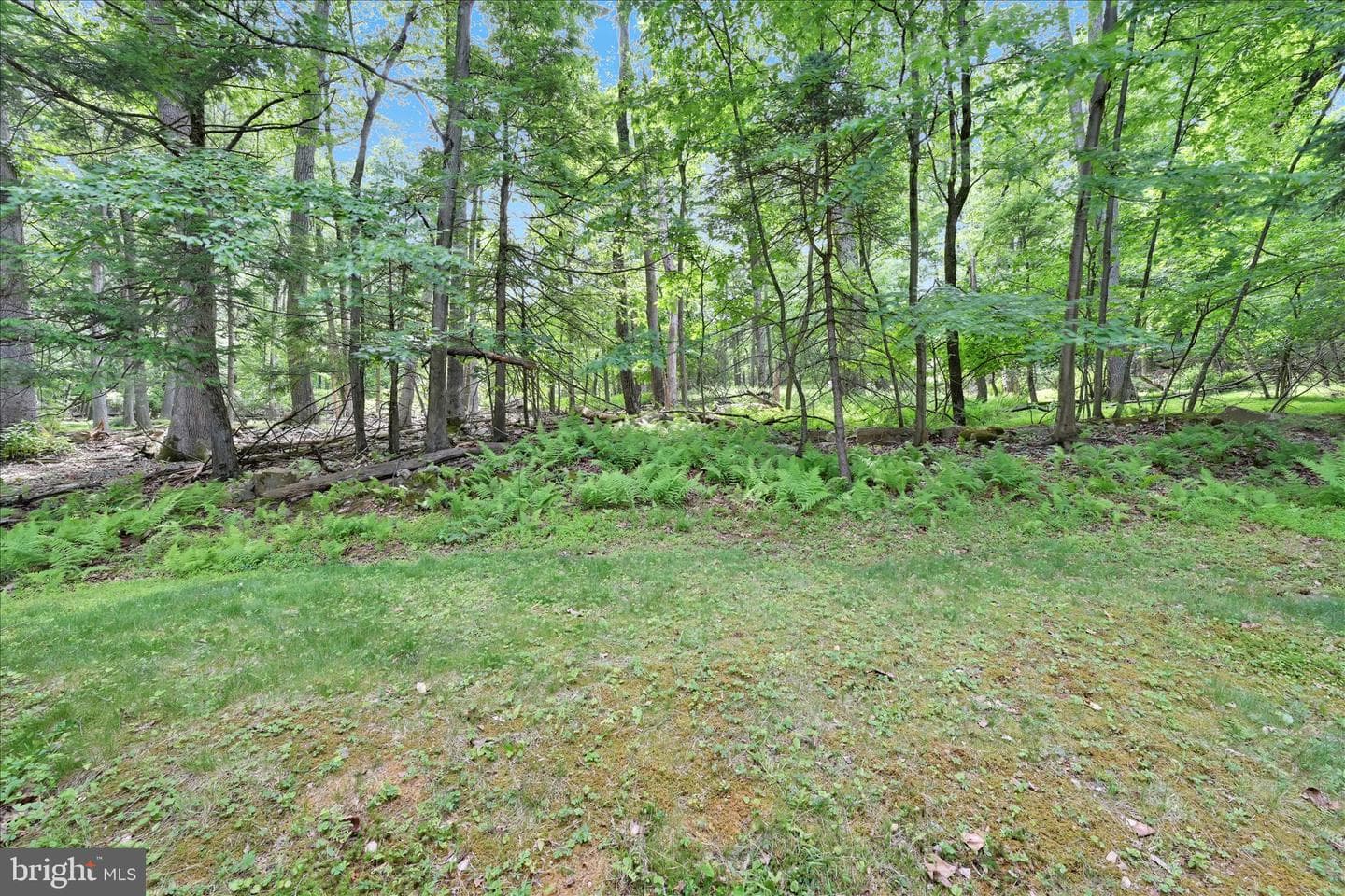 2310 Eagle Cove photo 35