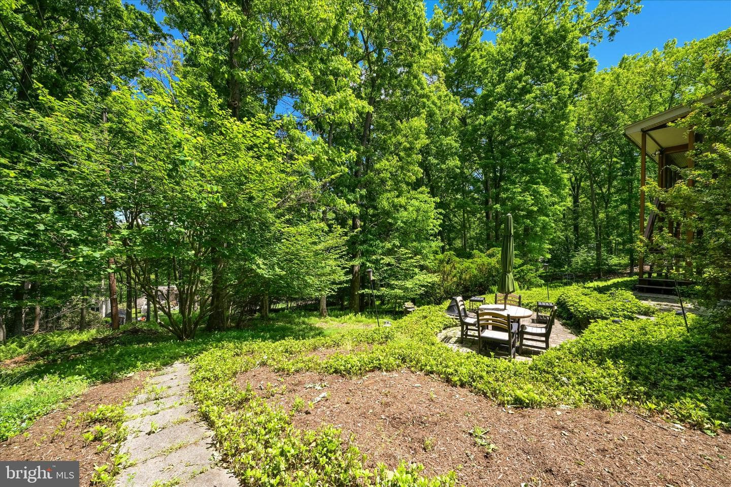 50 Timber Road photo 41
