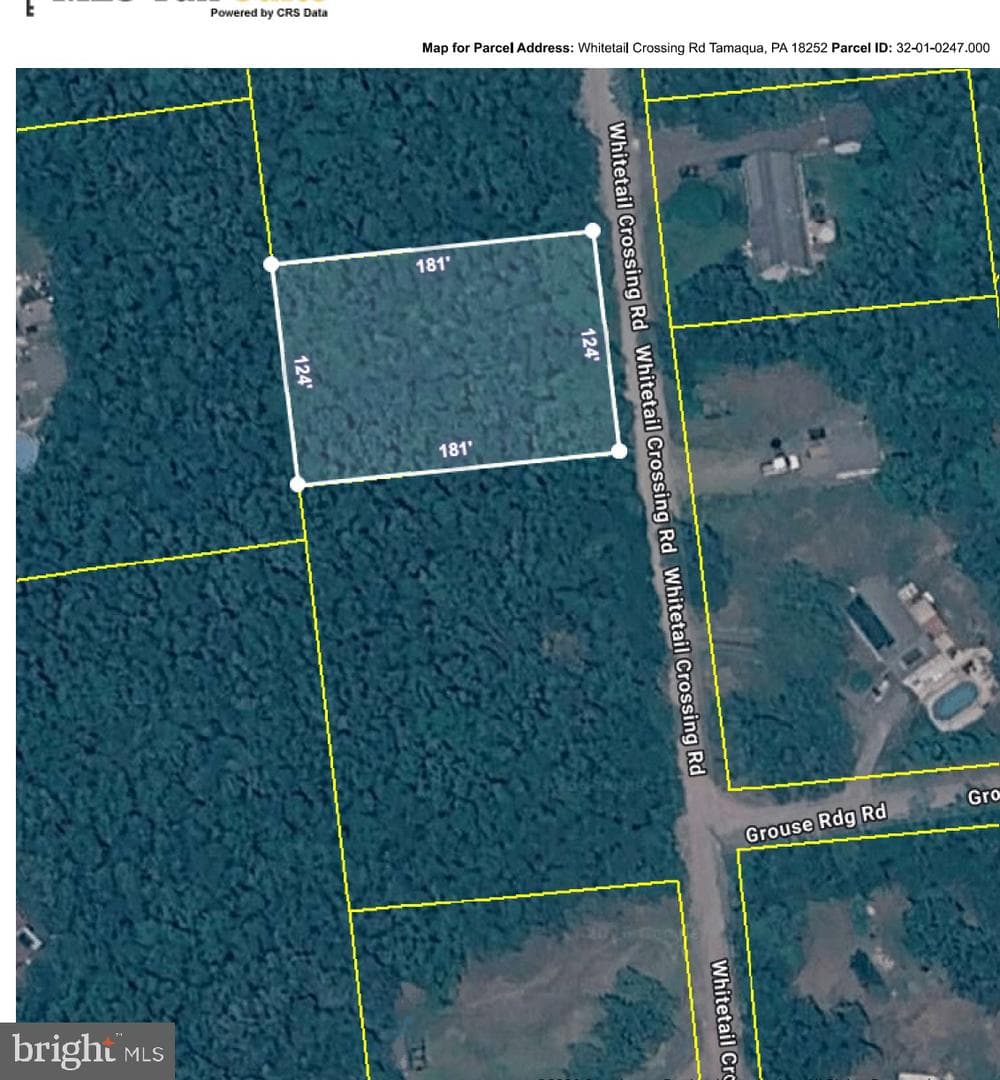 247 Whitetail Road photo 13