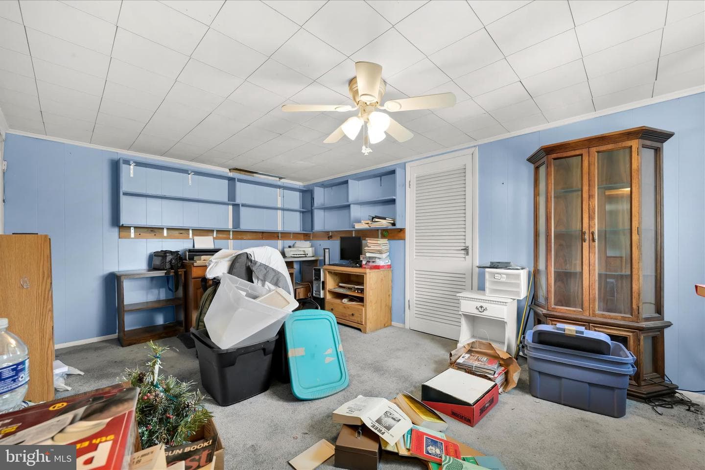 24 Upper Beechwood Avenue photo 20