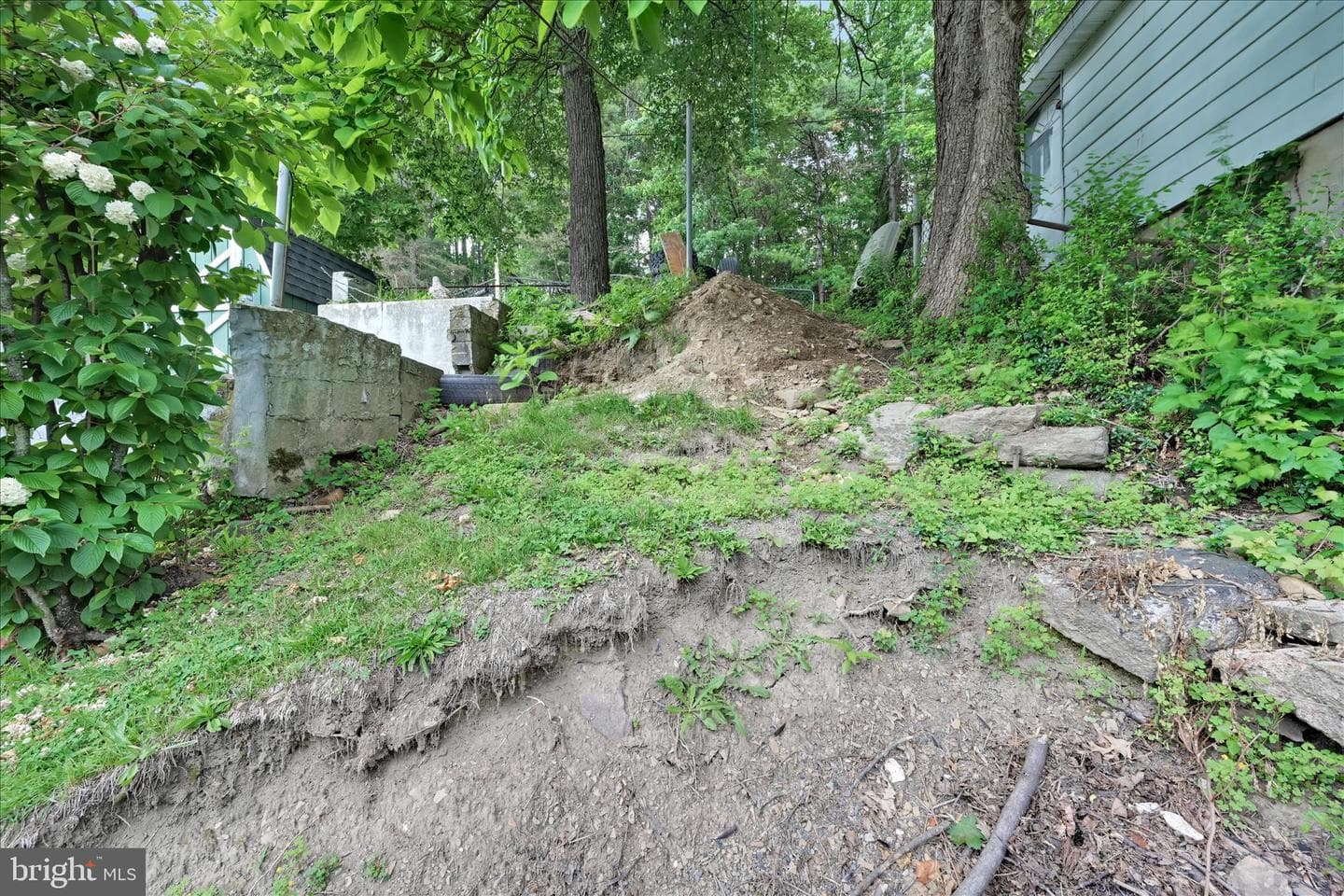 428 Laurel Street photo 26