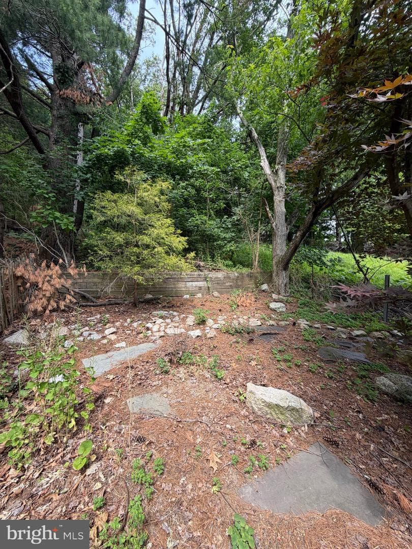 842 Water Street photo 5