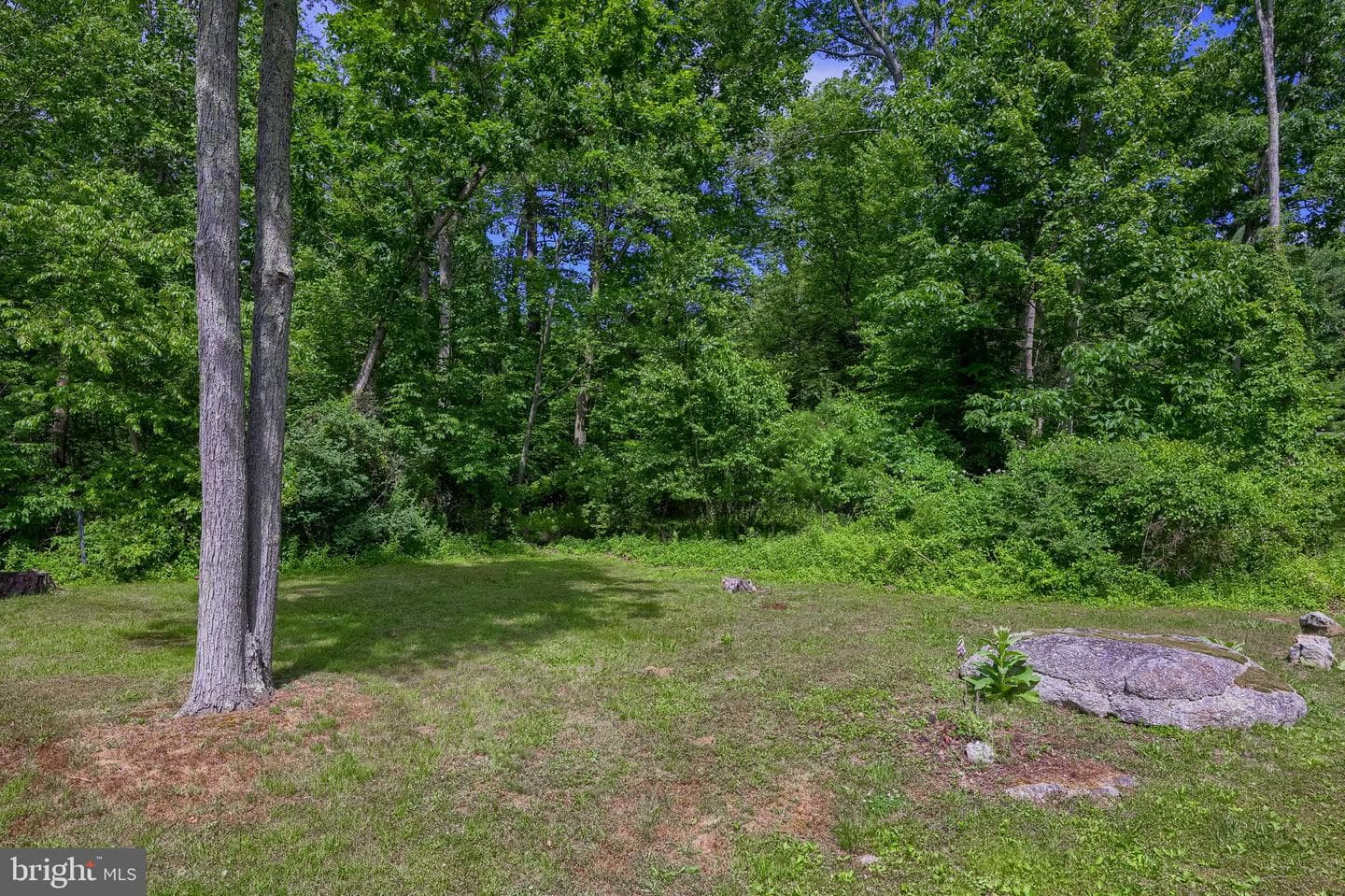 49 King Fisher Drive photo 58