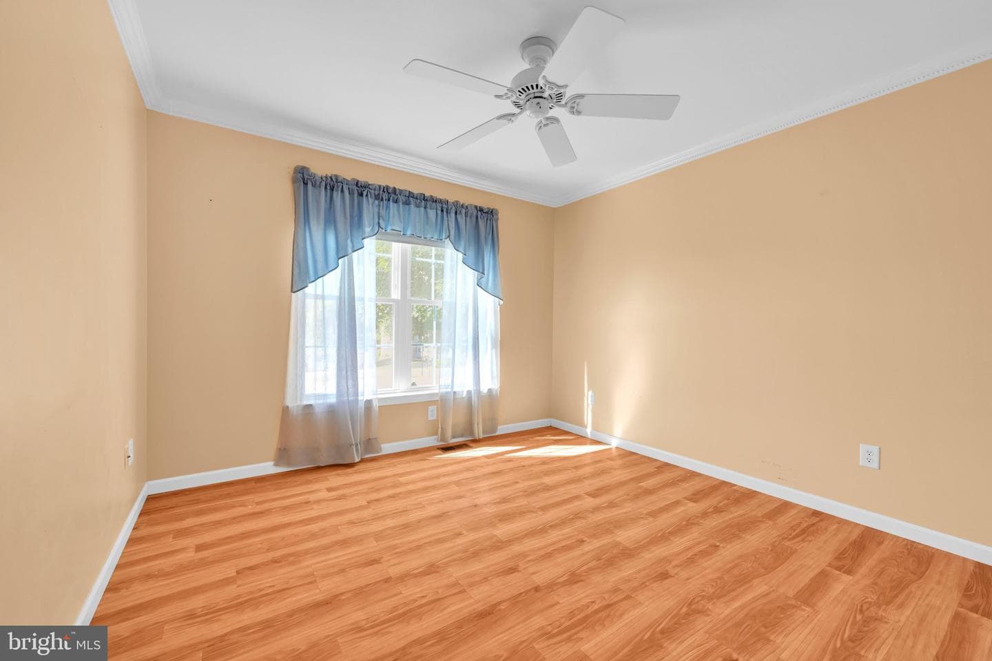 1 Midland Cove photo 20