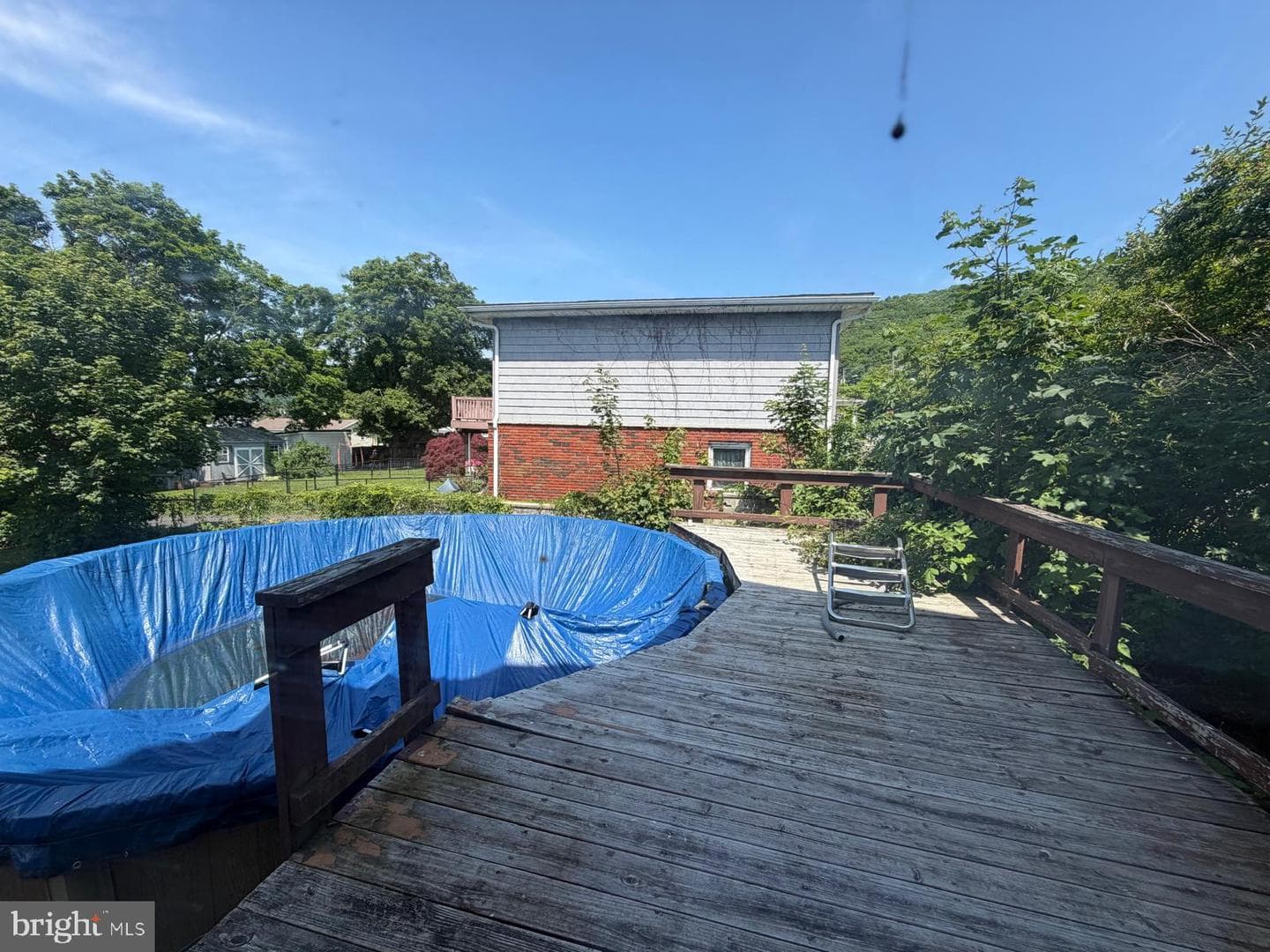 329 Cathrine Street photo 43