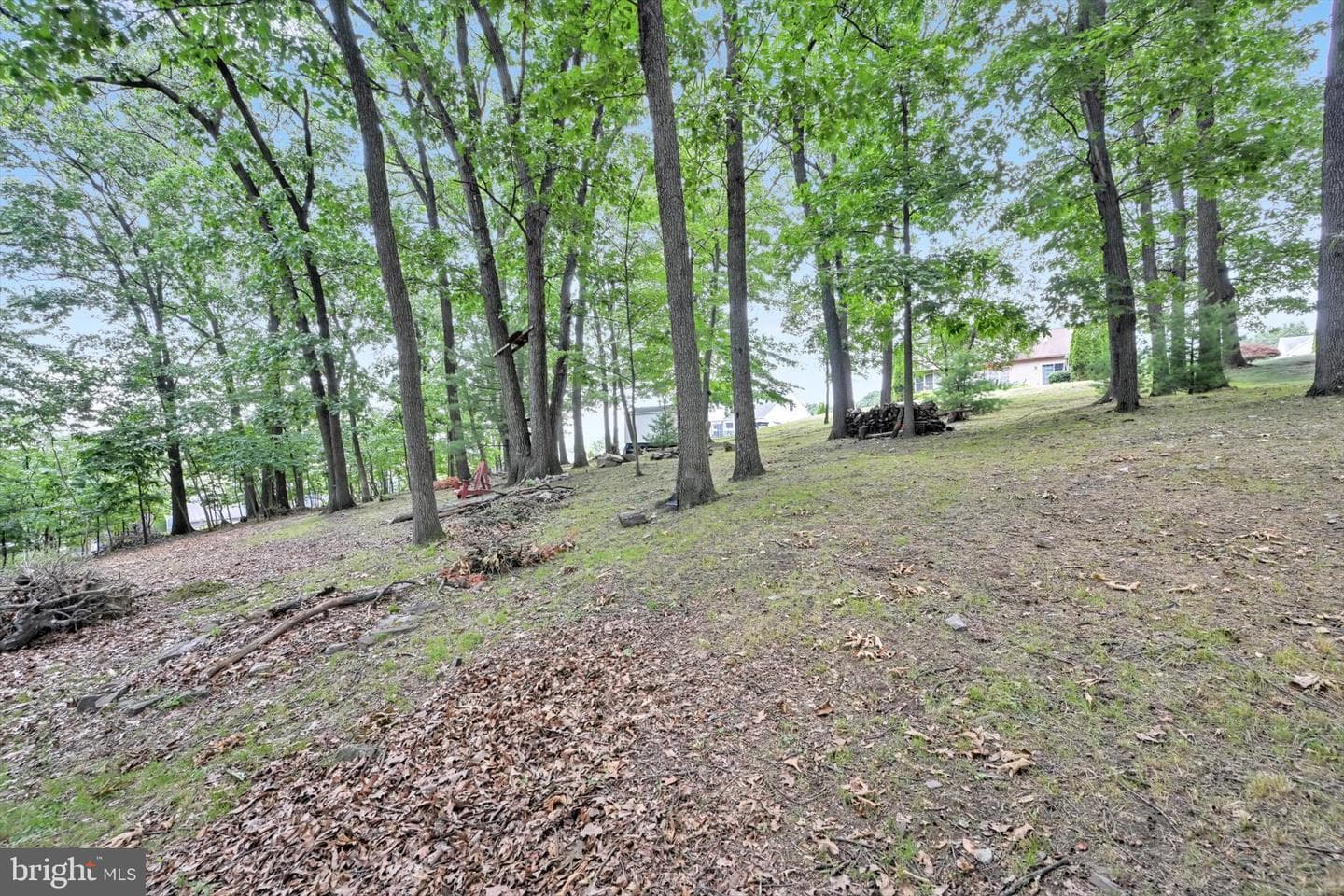 84 Oak Ledge Avenue photo 47