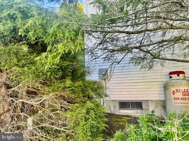 510 W Pine Street photo 10