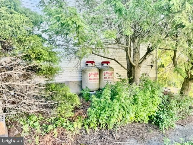 510 W Pine Street photo 4