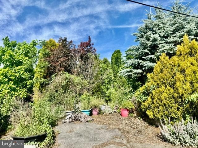 510 W Pine Street photo 6