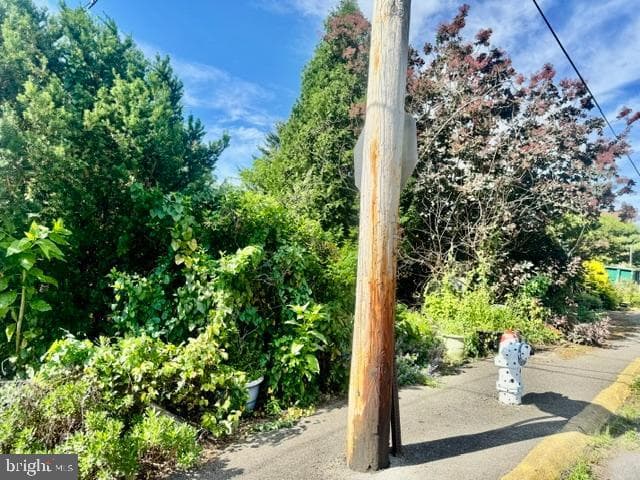 510 W Pine Street photo 7