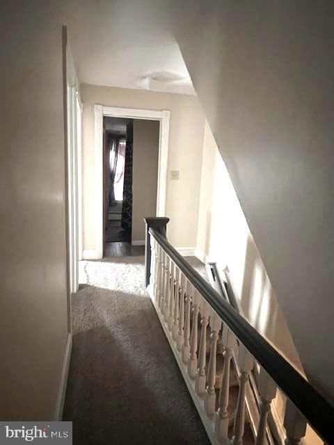 317 Centre Ave photo 21