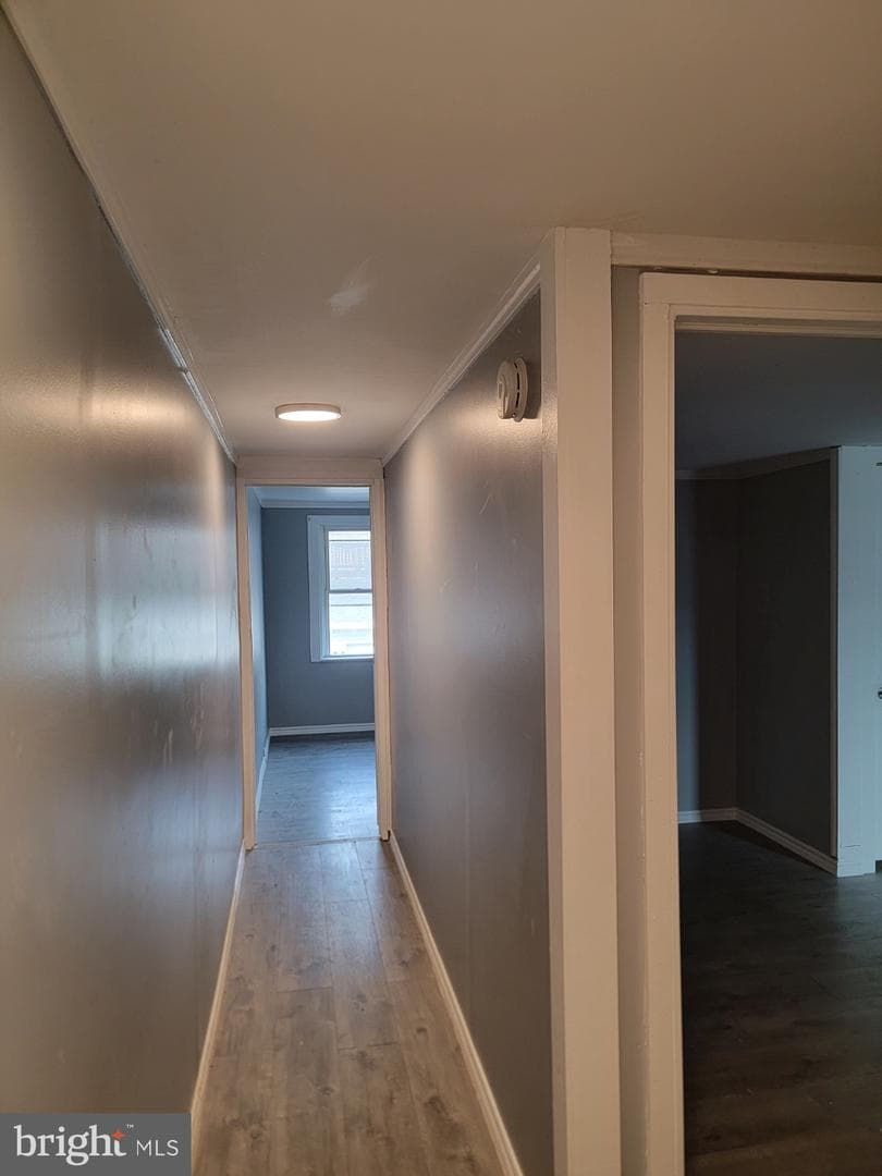 437 Morgan Avenue photo 13