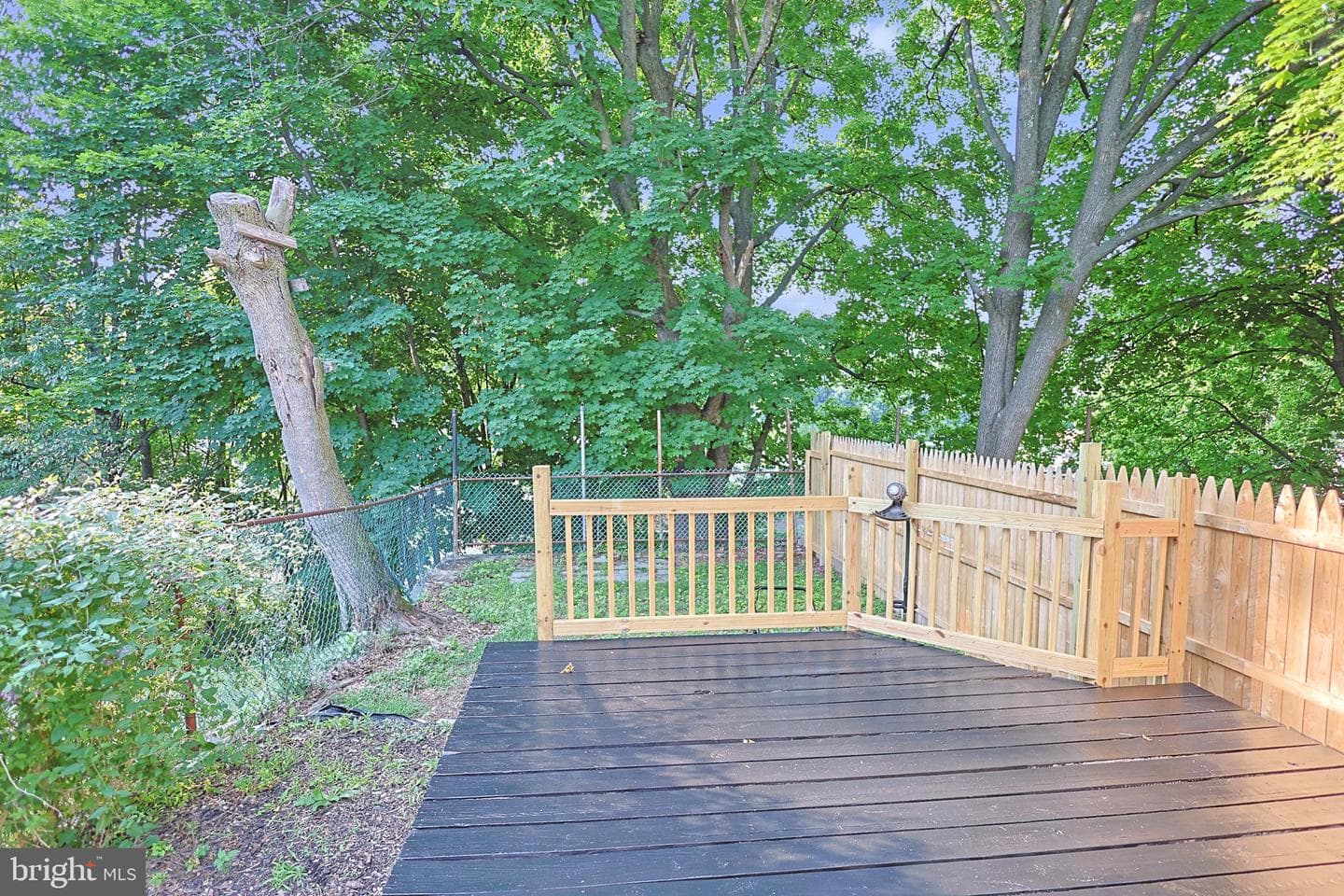 131 Mahanoy Street photo 22