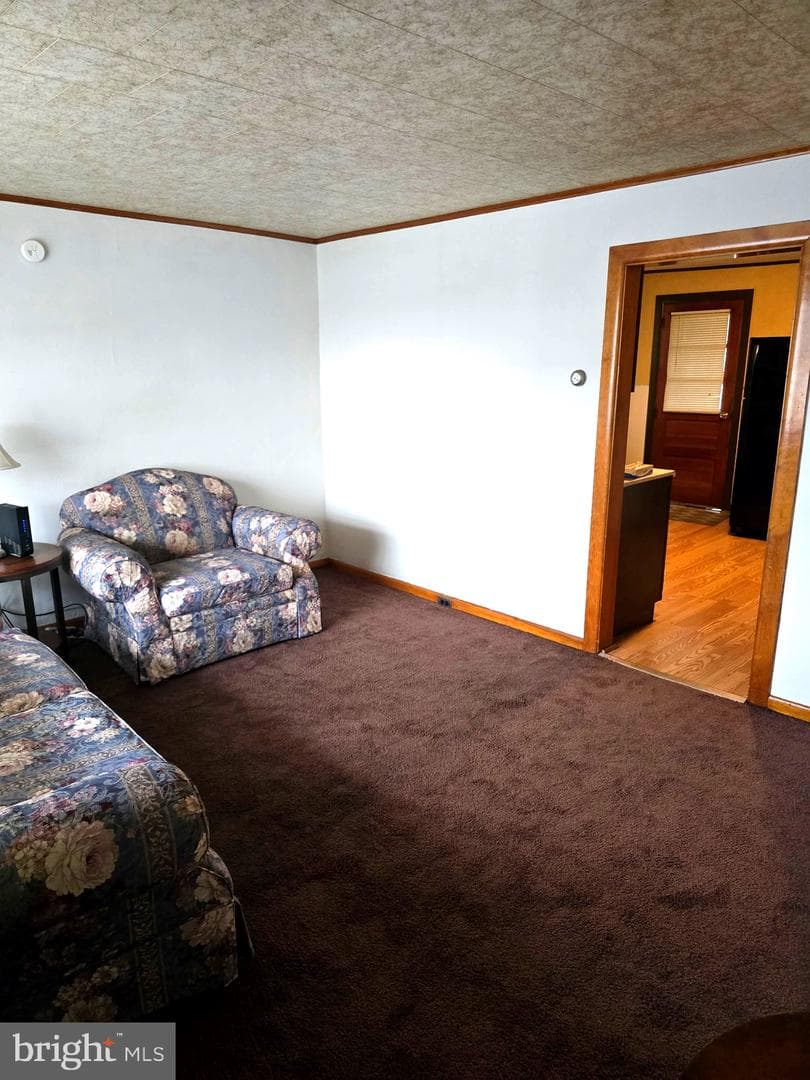 142 Arnot Street photo 5