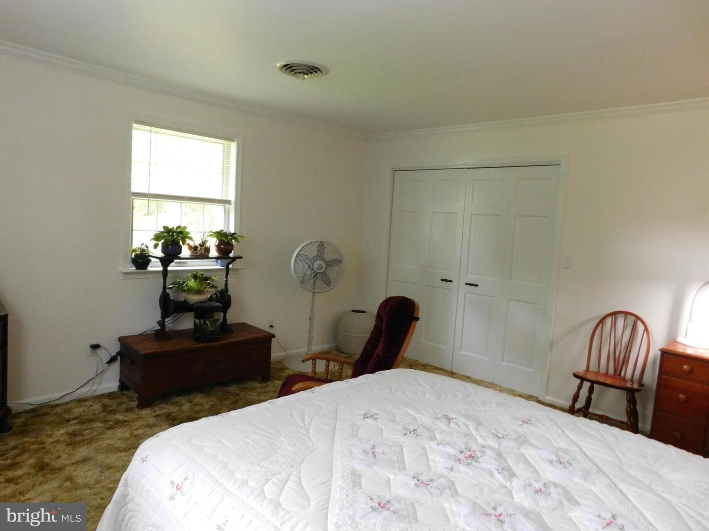 7 Ryan Avenue photo 33